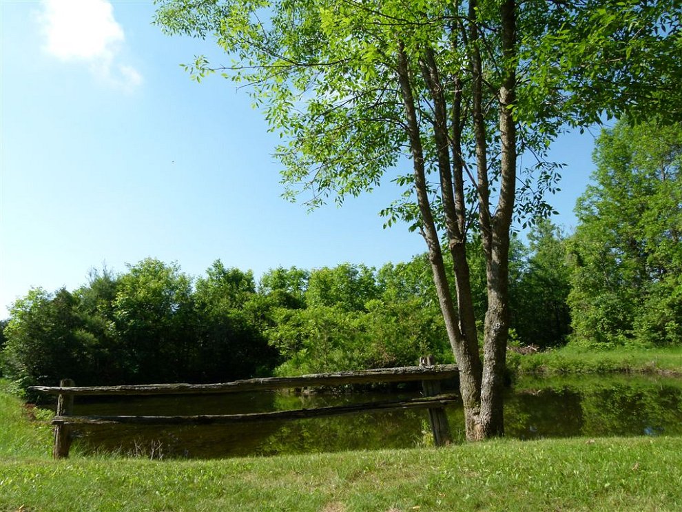 Roue du Roy - Juin 2012_MDQ020877.JPG